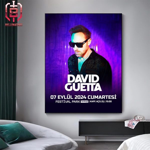 David Guetta At Festival Park Turkey September 07th 2024 Home Decor Poster Canvas
