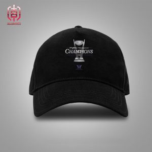 Minnesota PWHL Walter Cup Champions Trophy Graphic 2024 PWHL Walter Cup Champions Merchandise Snapback Classic Hat Cap